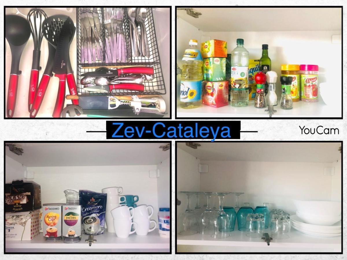 Zev- Cataleya Mamaia Nord Apartment Navodari Ngoại thất bức ảnh